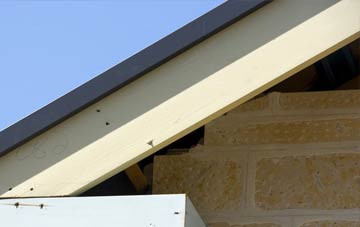 Drumuillie fascia repairs