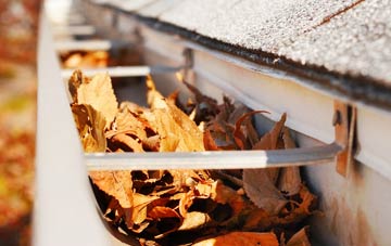 Drumuillie gutter cleaning companies