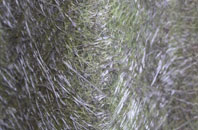 Drumuillie fibreglass roof work